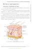 MATERIAL COMPLEMENTAR: Anatomia e Fisiologia da Pele
