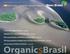 Organics Brasil Dez Anos