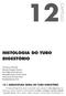 12.1 ARQUITETURA GERAL DO TUBO DIGESTÓRIO
