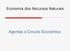 Economia dos Recursos Naturais. Agentes e Circuito Económico