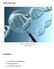 GENES, DNA E RNA CONTEÚDOS. Transcrição e tradução gênica Mutações gênicas O fenótipo e o genótipo. Figura 1 Dupla Hélice de DNA Fonte: Microsoft