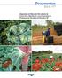 Documentos131. Diagnóstico do Manuseio Pós-colheita de Couve-Flor e Repolho em uma Cooperativa de Produtores de Hortaliças de Planaltina-DF