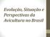 Evolução, Situação e Perspectivas da Avicultura no Brasil