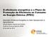 A eficiência energética e o Plano de Promoção da Eficiência no Consumo de Energia Elétrica (PPEC)