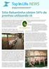 Sítio Rekantinho obtém 54% de prenhez utilizando IA Produção de cordeiros e de leite de cabras crescem e criadores apostam na atividade