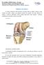 Rupturas do menisco. A articulação do joelho é formada pelos ossos: o osso da coxa (fêmur), o osso da perna (tíbia) e a patela.