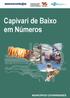 Capivari de Baixo em Números