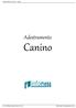 ADESTRAMENTO CANINO - CURSO. Adestramento