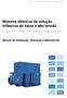 Motores elétricos de indução trifásicos de baixa e alta tensão Linha M - Rotor de anéis - Horizontais