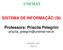 UNEMAT SISTEMA DE INFORMAÇÃO (SI) Professora: Priscila Pelegrini