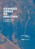 grandes obras na amazônia aprendizados e diretrizes grandes obras na amazônia