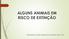 ALGUNS ANIMAIS EM RISCO DE EXTINÇÃO. Elaborado por Andrea Aparecida Iozzi Joaquim Verni