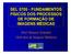 SEL FUNDAMENTOS FÍSICOS DOS PROCESSOS DE FORMAÇÃO DE IMAGENS MÉDICAS. Prof. Homero Schiabel (Sub-área de Imagens Médicas)