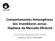 Comportamentos Heterogêneos dos Inves2dores versus Hipótese do Mercado Eficiente. Fernando Nogueira da Costa Professor do IE- UNICAMP