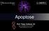 Apoptose. Prof. Tiago Collares, Dr. (MSN) ( )