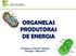 Organelas Produtoras de energia