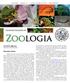 Zoologia EDITORIAL. Prezados Sócios. Ano XXXVI Número 111 Curitiba, dezembro de 2014 ISSN SOCIEDADE BRASILEIRA DE