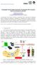 Tomographic Particle Image Velocimetry (Tomographic-PIV): É possível medir concentração de partícula?