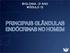 BIOLOGIA - 2 o ANO MÓDULO 12 PRINCIPAIS GLÂNDULAS ENDÓCRINAS NO HOMEM
