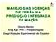 MANEJO DAS DOENÇAS DE VERÃO NA PRODUÇÃO INTEGRADA DE MAÇÃS. Onofre Berton Eng. Agr. PhD Fitopatologista Epagri/Estação Experimental de Caçador