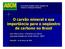 O carvão mineral e sua importância para o seqüestro. estro de carbono no Brasil