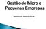 Gestão de Micro e Pequenas Empresas PROFESSOR: EMERSON FELIPE