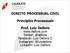 DIREITO PROCESSUAL CIVIL. Princípios Processuais. Prof. Luiz Dellore