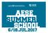 para Universitários aese summer school 6/18.JUL.2017