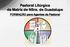 Pastoral Litúrgica da Matriz de NSra. de Guadalupe. FORMAÇÃO para Agentes de Pastoral