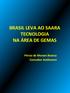 BRASIL LEVA AO SAARA TECNOLOGIA NA ÁREA DE GEMAS. Pércio de Moraes Branco Consultor Autônomo