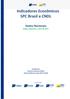 Indicadores Econômicos SPC Brasil e CNDL Dados Nacionais Dados referentes a abril de 2017