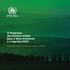O Programa das Nações Unidas para o Meio Ambiente e a Agenda Ação global para as pessoas e para o planeta