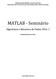 UNIVERSIDADE FEDERAL DE JUIZ DE FORA PROGRAMA DE PÓS GRADUAÇÃO EM MODELAGEM COMPUTACIONAL. MATLAB - Seminário. Algoritmos e Estrutura de Dados 2016_1