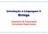 Introdução à Linguagem C. Strings. Laboratório de Programação Prof.Alfredo Parteli Gomes
