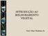 INTRODUÇÃO AO MELHORAMENTO VEGETAL. Prof. Olayr Modesto Jr.