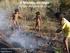 O Manejo do Fogo. Parque Indígena do Xingu. Instituto Socioambiental Fabio Moreira