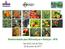Biodiversidade para Alimentação e Nutrição - BFN. Vanuska Lima da Silva 20 de junho de 2017