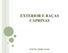 EXTERIOR E RAÇAS CAPRINAS. Profª Dr. Gladis Corrêa