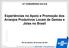 14º CONGRESSO DA ICA Experiências no Apoio e Promoção dos Arranjos Produtivos Locais de Gemas e Jóias no Brasil