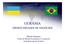 UCRÂNIA OPORTUNIDADES DE NEGÓCIOS. Mihailo Rudenko Chefe da Missão Econômica e Comercial da Embaixada da Ucrânia