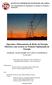 Operação e Planeamento de Redes de Energia Eléctrica com recurso ao Trânsito Optimizado de Energia