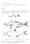 Fig. 1 - Principais especies dos recursos de anchoveta, carapau e sardinha