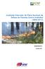 Avaliação Intercalar do Plano Nacional de Defesa da Floresta Contra Incêndios ( ) SUMÁRIO EXECUTIVO