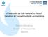 O Mercado de Gás Natural no Brasil: Desafios à Competitividade da Indústria