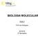 BIOLOGIA MOLECULAR. Aula /16 2º Semestre. Profª Inês Rodrigues