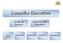 Conselho Executivo. Gestão de Recurso. Fiduciário. Risco e Complice. Distribuição Institucional Back Office Administração