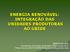 ENERGIA RENOVÁVEL: INTEGRAÇÃO DAS UNIDADES PRODUTORAS AO GRIDE