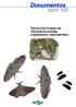 ISSN X Setembro, Técnica de Criação de Thyrinteina arnobia (Lepidoptera: Geometridae)