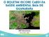o Boletim (Score Card) da Saúde Ambiental Baía de Guanabara Bill Dennison 29 de Abril, 2016