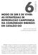 MODO DE SER E DE VIVER: AS ESTRATÉGIAS DE REPRODUÇÃO CAMPONESA NA COMUNIDADE RIBEIRÃO EM CATALÃO-GO